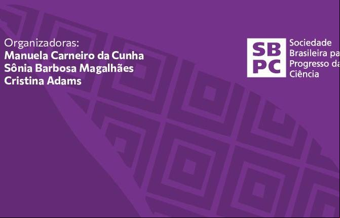 Alt da imagem